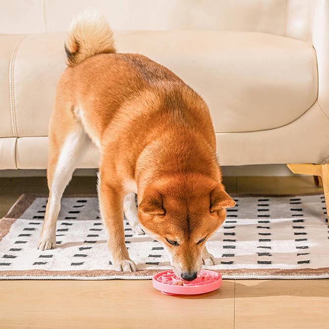 Dog Bowl Pet lick mat - Donut Slow Feeder
