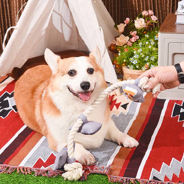 Raccoon Rope - Rope Toy