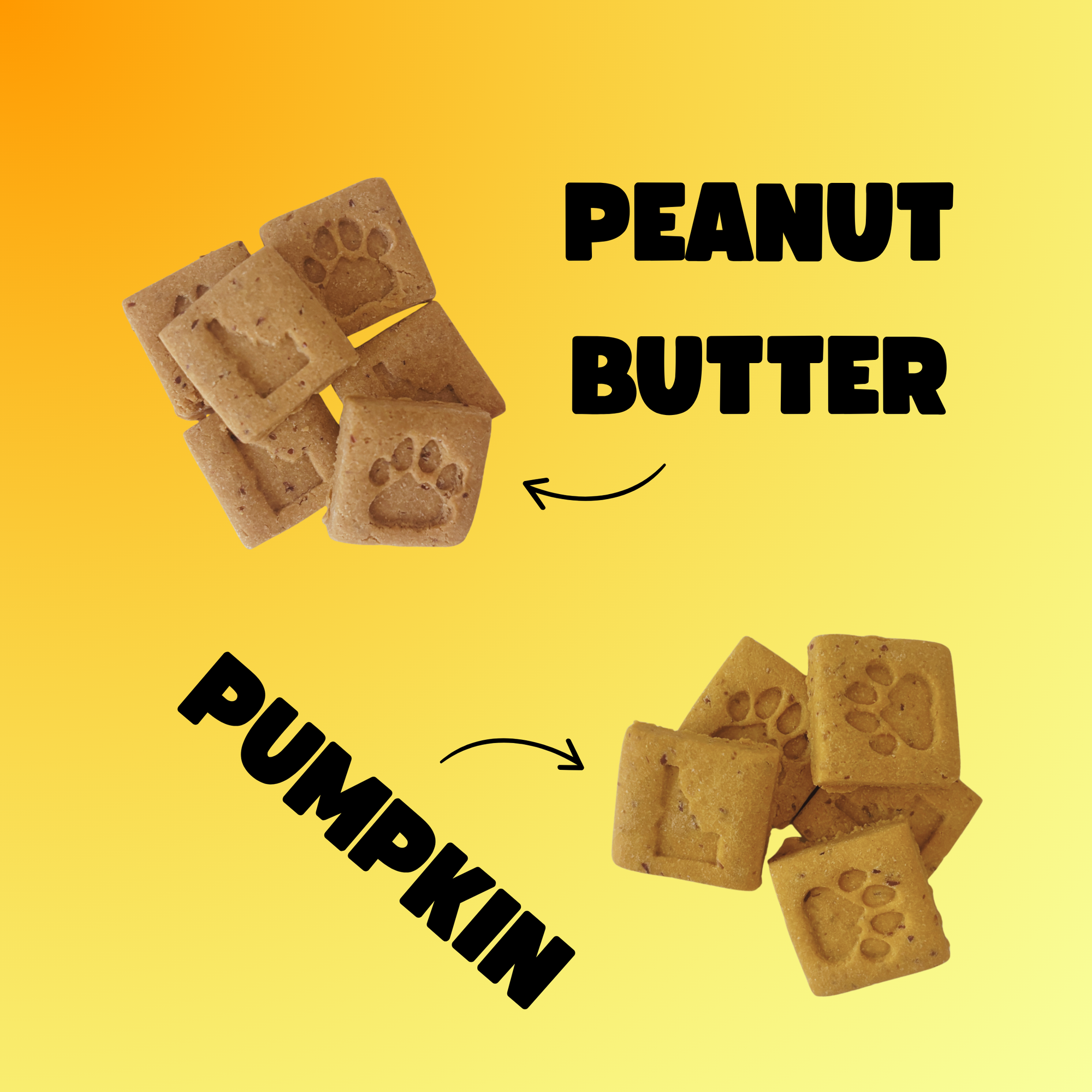 Mini Squares Pack - Pumpkin & Peanut Butter Recipes