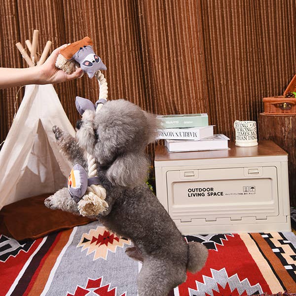 Raccoon Rope - Rope Toy
